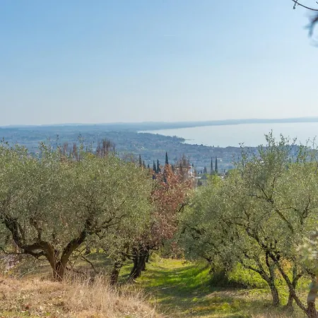 Panorama Alpesi faház