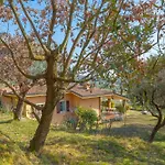 Alpesi faház Panorama *